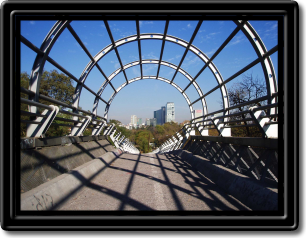 Ciclopista Chapultepec 1200