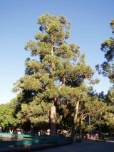 P1010066