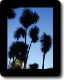 JARDIN BOTANICO
