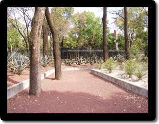 JARDIN BOTANICO CHAPULTEPEC