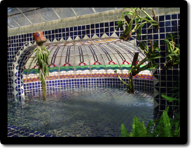 JARDIN BOTANICO DE ORQUIDEAS